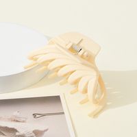 Women's Simple Style Geometric Plastic Stoving Varnish Hair Claws sku image 6