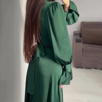 Women's Regular Dress Elegant High Neck Long Sleeve Solid Color Maxi Long Dress Daily Street main image 5