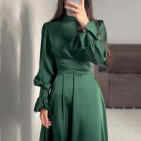 Femmes Robe Régulière Élégant Col Haut Manche Longue Couleur Unie Maxi Longue Robe Du Quotidien Rue main image 2