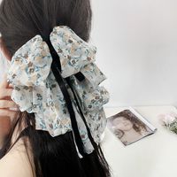 Women's Pastoral Bow Knot Cloth Floral Hair Clip main image 6