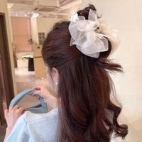 Women's Sweet Bow Knot Plastic Gauze Handmade Hair Claws main image 5