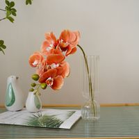 Einfacher Stil Klassischer Stil Blume Kunststoff Nachgemachte Pflanzen Künstliche Blumen main image 5
