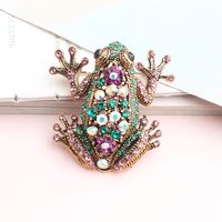 Style Cool Brillant Animal Grenouille Alliage Incruster Strass Unisexe Broches sku image 4