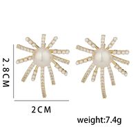 1 Pair Ig Style Simple Style Sun Plating Inlay Copper Ear Studs main image 2