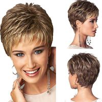 Women's Sweet Simple Style Holiday Home High Temperature Wire Short Straight Hair Wigs main image 5