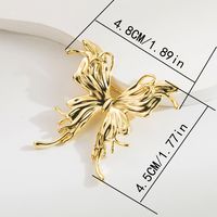 Vintage Style Simple Style Moon Butterfly Alloy Plating Zircon Unisex Brooches 1 Piece main image 3