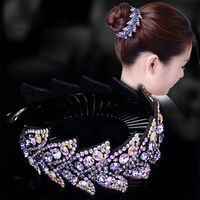 Women's Elegant Glittery Rhinestone Hair Clip main image 5