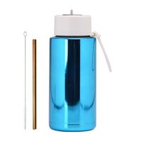 Chinoiserie Casual Vacation Multicolor Stainless Steel Water Bottles 1 Piece sku image 2