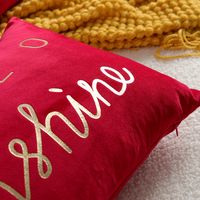 Simple Style Classic Style Letter Polyester Pillow Cases main image 2