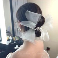 Women's Elegant Bow Knot Gauze Hair Clip main image 1