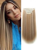 Women's Simple Style Casual Chemical Fiber Long Straight Hair Wig Net sku image 4