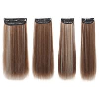 Women's Simple Style Casual Chemical Fiber Long Straight Hair Wig Net sku image 1