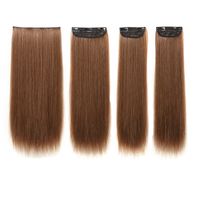 Women's Simple Style Casual Chemical Fiber Long Straight Hair Wig Net main image 1