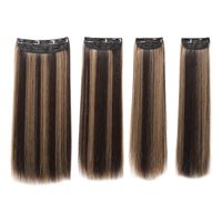 Women's Simple Style Casual Chemical Fiber Long Straight Hair Wig Net main image 2