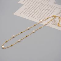 304 Stainless Steel Freshwater Pearl Titanium Steel Gold Plated Simple Style Classic Style Beaded Plating Round Sweater Chain Long Necklace main image 8