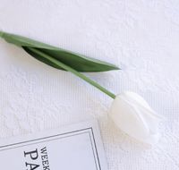 Pastoral Tulip Plastic Artificial Flowers sku image 1