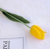 Pastoral Tulip Plastic Artificial Flowers sku image 3