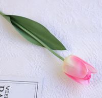 Pastoral Tulip Plastic Artificial Flowers sku image 6