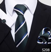 أسلوب بسيط منقوشة الكاجو الحرير البوليستر رجال ربطة عنق sku image 7