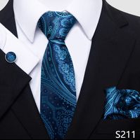 أسلوب بسيط منقوشة الكاجو الحرير البوليستر رجال ربطة عنق sku image 10