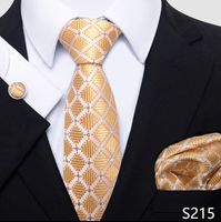أسلوب بسيط منقوشة الكاجو الحرير البوليستر رجال ربطة عنق sku image 14