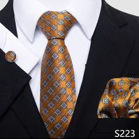 أسلوب بسيط منقوشة الكاجو الحرير البوليستر رجال ربطة عنق sku image 22