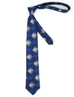 Business Formal Stripe Plaid Polyester Unisex Tie main image 2