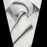Business Formal Stripe Plaid Polyester Unisex Tie sku image 2