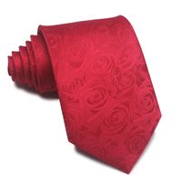 أسلوب بسيط شريط الحرير البوليستر للجنسين ربطة عنق sku image 92