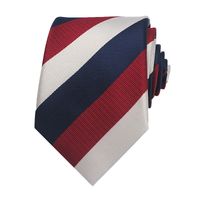 Simple Style Stripe Polyester Yarn Unisex Tie sku image 107