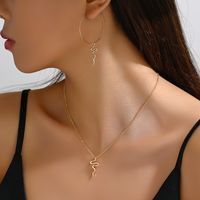 Elegant Simple Style Snake Alloy Iron Plating Women's Earrings Necklace main image 1