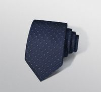 Business Formal Geometric Stripe Polyester Men's Tie sku image 17