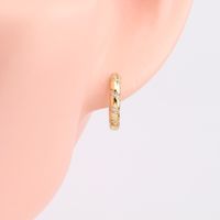 1 Pair Simple Style Color Block Inlay Sterling Silver Zircon Earrings main image 9