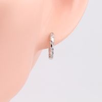 1 Pair Simple Style Color Block Inlay Sterling Silver Zircon Earrings main image 10
