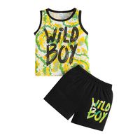 Casual Color Block Polyester Boys Clothing Sets main image 5