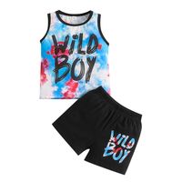 Casual Color Block Polyester Boys Clothing Sets sku image 12