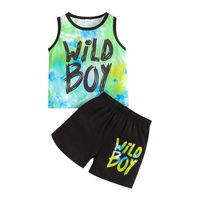 Casual Color Block Polyester Boys Clothing Sets sku image 8
