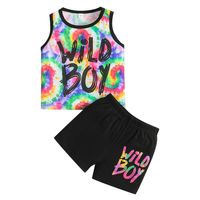 Casual Color Block Polyester Boys Clothing Sets sku image 24