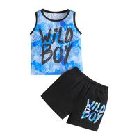 Casual Color Block Polyester Boys Clothing Sets sku image 20