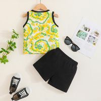Casual Color Block Polyester Boys Clothing Sets main image 3