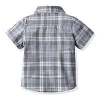 Einfacher Stil Plaid Baumwolle T-shirts & Hemden main image 5