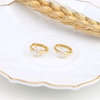 1 Pair Simple Style Flower Inlay Sterling Silver Zircon Earrings main image 5