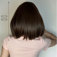 Women's Sweet Brown Pink Casual Stage Chemical Fiber Bangs Short Straight Hair Wig Net main image 8