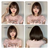 Women's Sweet Brown Pink Casual Stage Chemical Fiber Bangs Short Straight Hair Wig Net main image 6