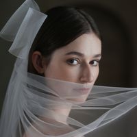 Women's Simple Style Bow Knot Cloth Birdcage Veils main image 5