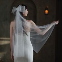 Women's Simple Style Bow Knot Cloth Birdcage Veils main image 4