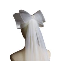 Women's Simple Style Bow Knot Cloth Birdcage Veils main image 2