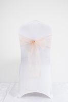 Süss Einfacher Stil Einfarbig Bogenknoten Polyester Bankett Täglich Stuhl Rücken Dekoration Streamer sku image 21