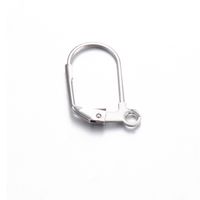 100 Stück/Paket Rostfreier Stahl Einfarbig Haken-Ohrring-Befunde Einfacher Stil sku image 12