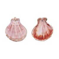 2 Pieces Retro Beach Conch Shell Shell Plating Pendant Jewelry Accessories sku image 6